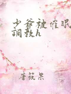 少爷被催眠玩弄调教h