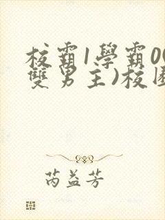 校霸1学霸0(双男主)校园小说