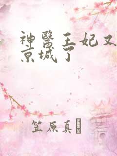 神医王妃又轰动京城了