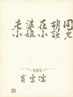 老婆在胡同里扮小姐小说免费阅读全