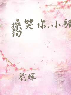 操哭你,小骚母狗