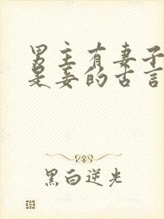 男主有妻子女主是妾的古言