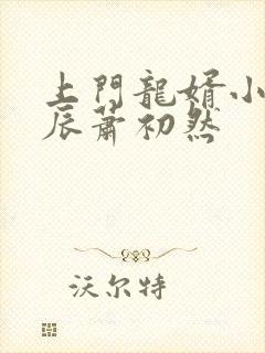 上门龙婿小说叶辰萧初然