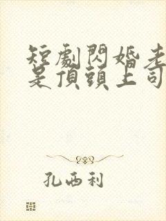 短剧闪婚老公竟是顶头上司