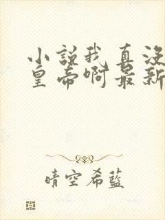 小说我真没想当皇帝啊最新章节