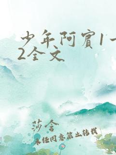 少年阿宾1一72全文