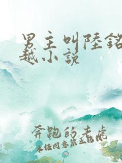 男主叫陆铭的穿越小说