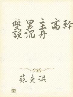 双男主高干文小说沉舟