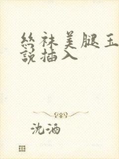 丝袜美腿玉足小说插入