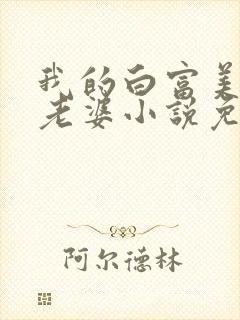 我的白富美总裁老婆小说免费