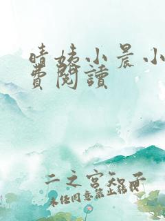 晴姨小晨小说免费阅读