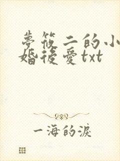梦筱二的小说先婚后爱txt