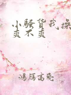 小骚货我操的你爽不爽