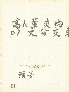 高h荤爽肉〈np〉文公交车