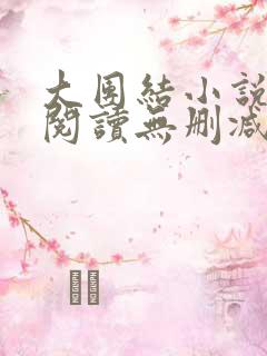 大团结小说在线阅读无删减