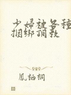 少妇被各种姿势捆绑调教