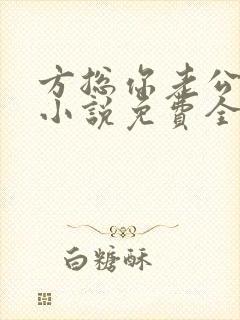 方总你老公没了小说免费全文阅读