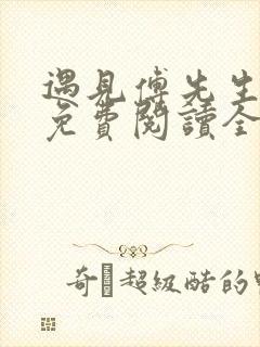 遇见傅先生小说免费阅读全文