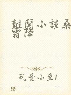 难哄小说桑延温霜降