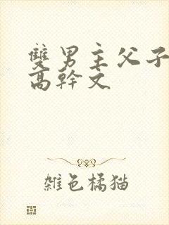 双男主父子年上高干文