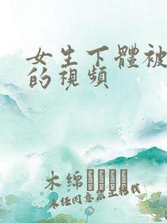 女生下体被插入的视频