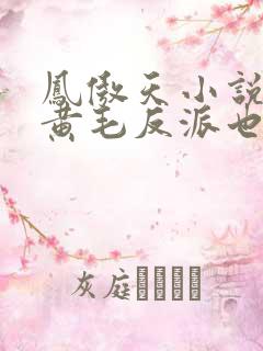 凤傲天小说里的黄毛反派也想幸福 小说