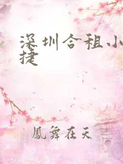 深圳合租小雯康捷