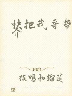 快把我哥带走简介