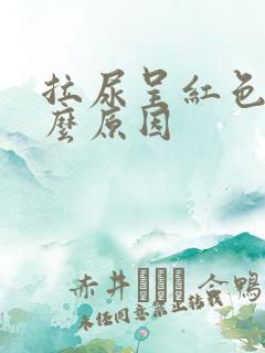 拉尿呈红色是什么原因