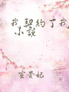 我契约了我自己 小说
