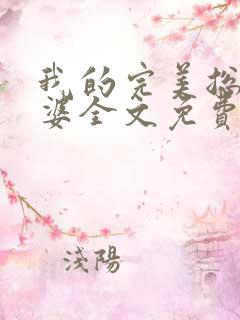 我的完美总裁老婆全文免费阅读