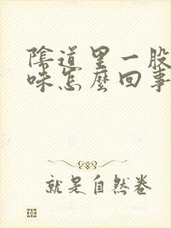 阴道里一股腥臭味怎么回事