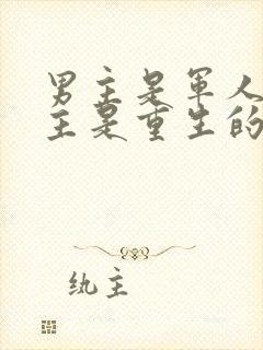 男主是军人,女主是重生的小说