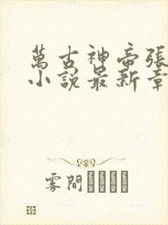 万古神帝张若尘小说最新章节精校版