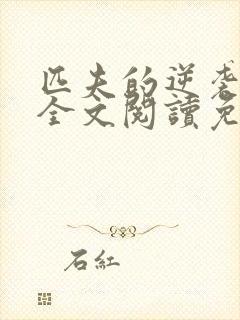 匹夫的逆袭小说全文阅读免费