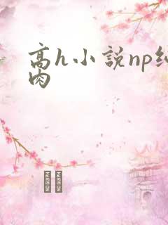 高h小说np纯肉