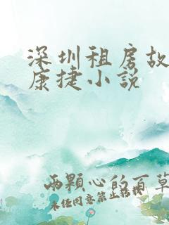 深圳租房故事 康捷小说