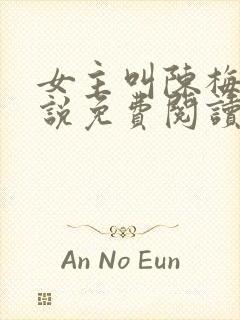 女主叫陈梅的小说免费阅读