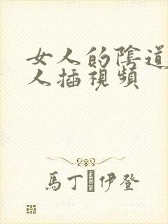 女人的阴道被男人插视频