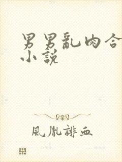 男男乱肉合集h小说