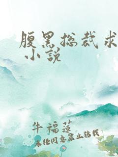 腹黑总裁求放过 小说