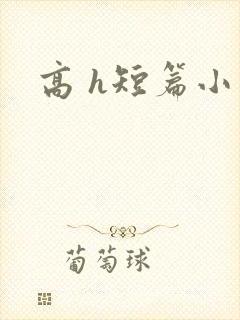 高 h短篇小说