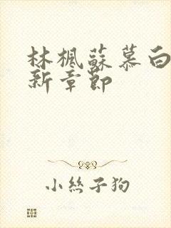 林枫苏慕白穿最新章节