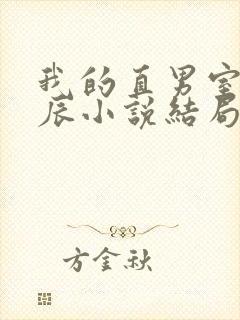 我的直男室友张辰小说结局