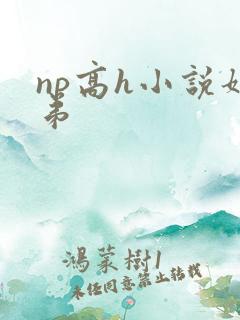 np高h小说姐弟