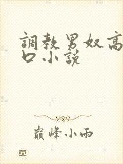 调教男奴高h重口小说