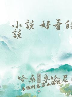 小说 好看的小说