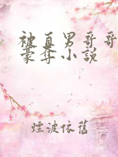 被直男哥哥巧取豪夺小说