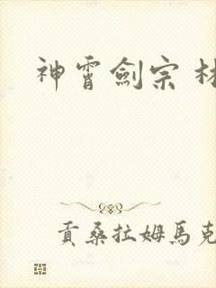神霄剑宗 林枫