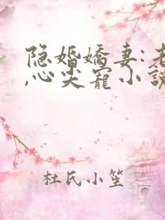 隐婚娇妻:老公,心尖宠小说